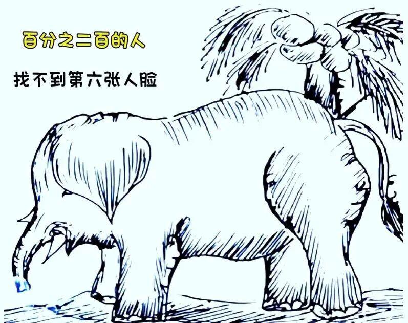 看图识脸？大象身上藏着6张人脸，你能找到吗，快来试试你的运气吧？