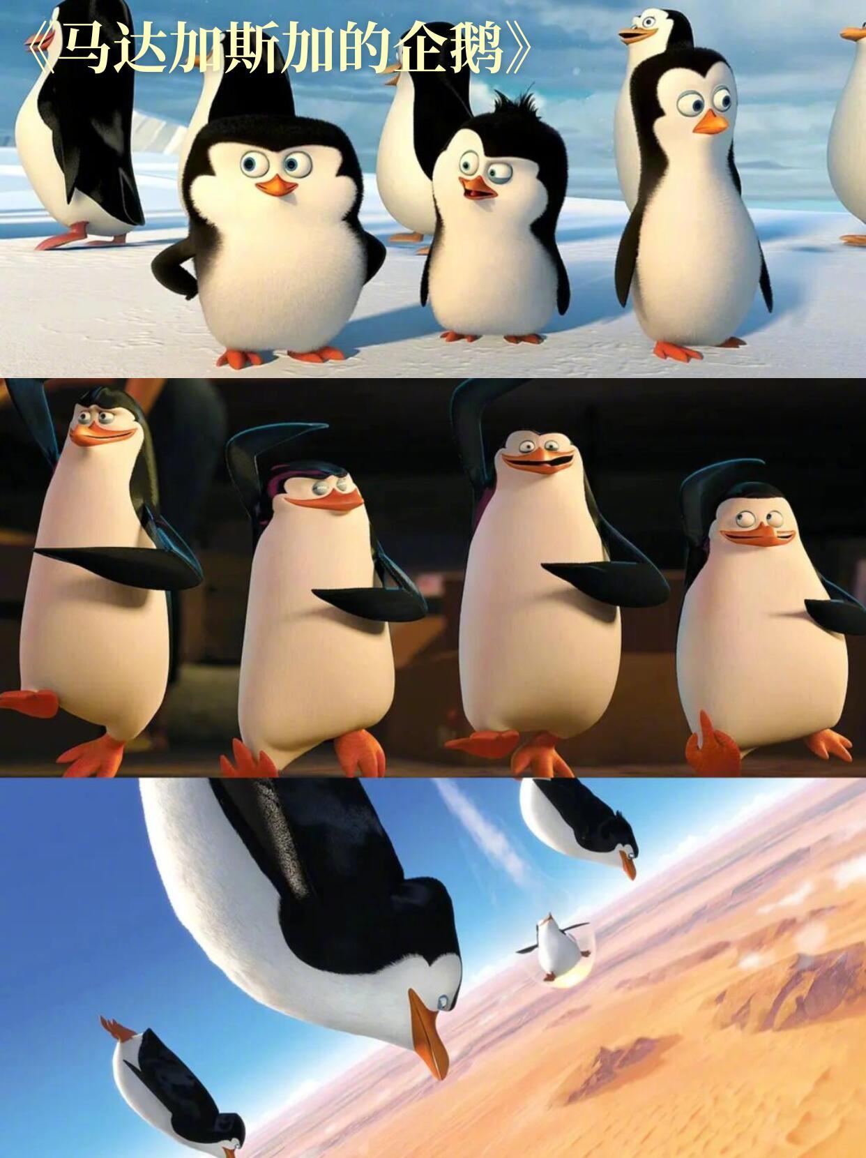 适合全家一起看的宠物系动画电影。