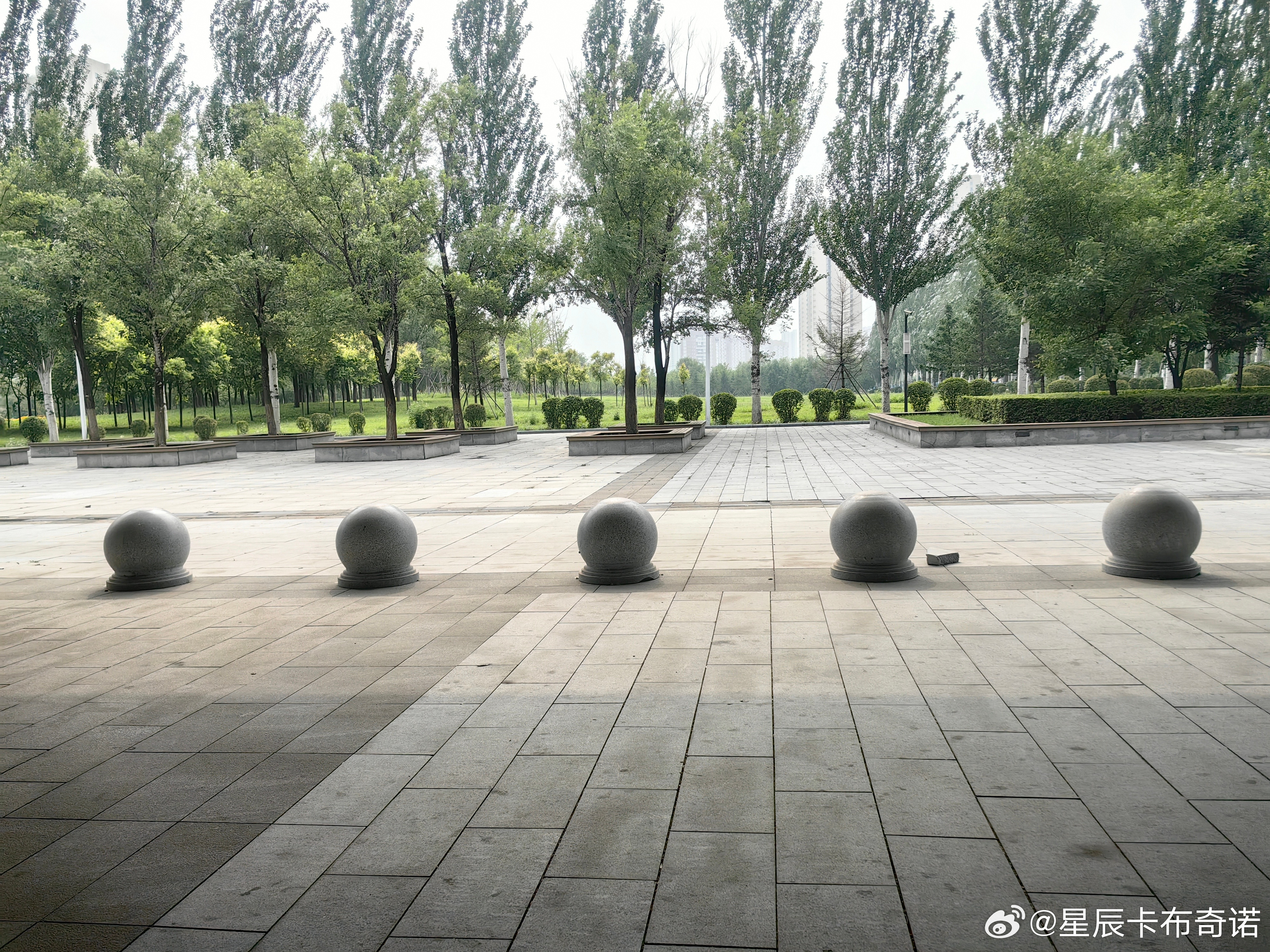 谁说的沈阳下大雨被淹了？我这从大连回来，感受到的是同样的温度