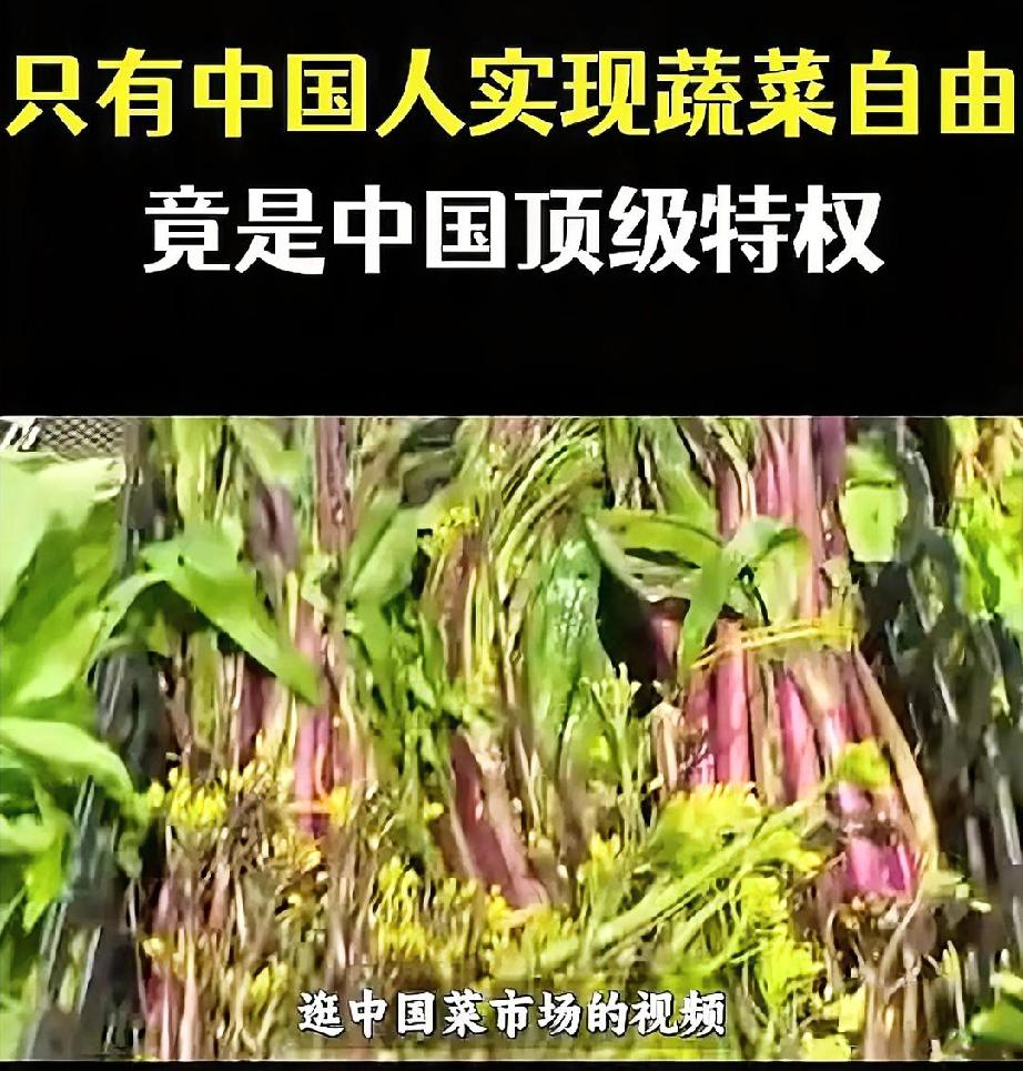 问你个问题，你觉得吃蔬菜算不算特权？绝大多数中国人听到这话，第一反应肯定是：这