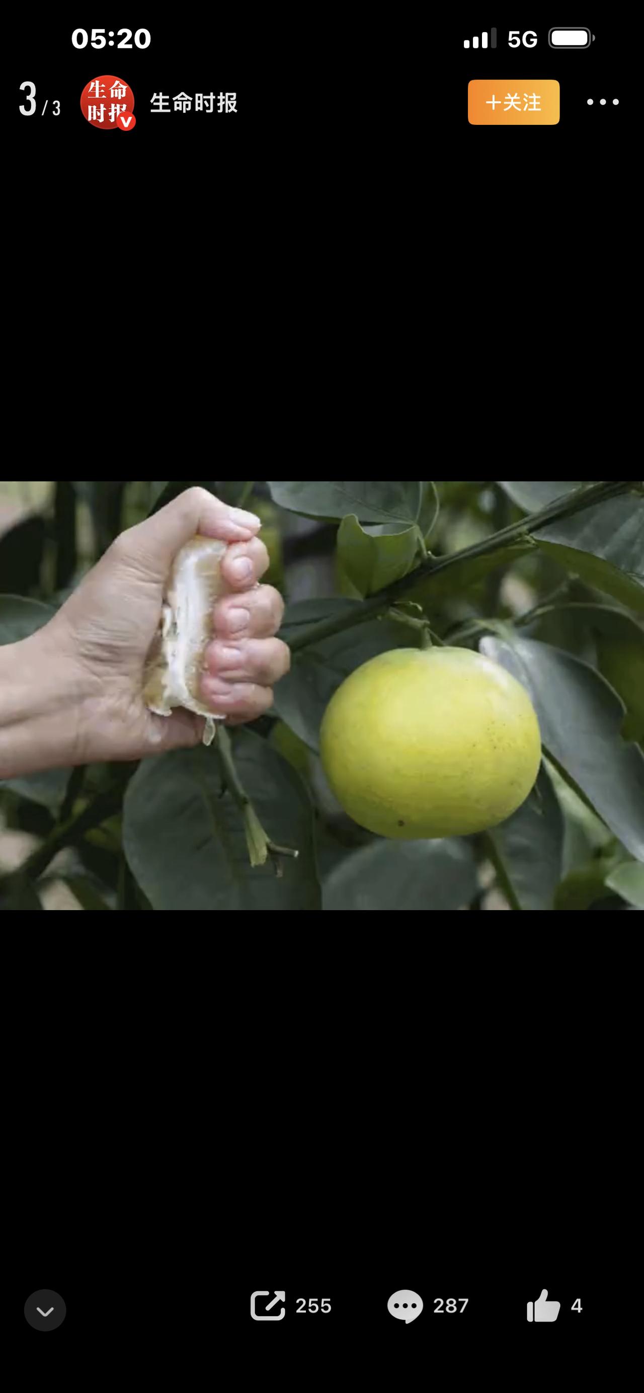 标题：扎心！小时候的老式水果，为啥突然消失了？全吃过的都老了！你敢信吗？以前