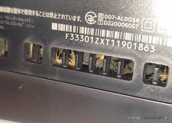 【PS5还能当捕蚊器？】近日，一位PS5玩家在Reddit论坛发帖求助，称其PS