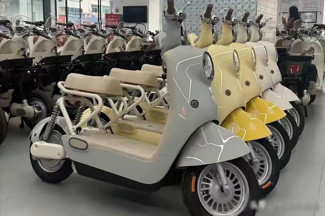 他来了，它来了，新国标电动车来了。看到新国标电动车，我简直是刷新了我的三观，