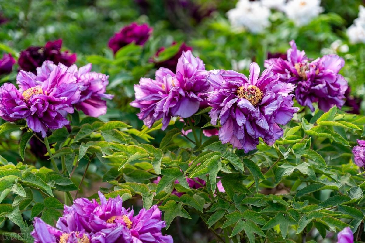 到后来才发现：干净的语言，变小的圈子，自律的生活，独处的时光，积极的工作，最让人