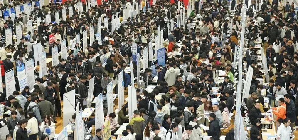 1270万毕业生撞上567万岗位？这数字看一眼都心慌。未来两年，找工作的年轻