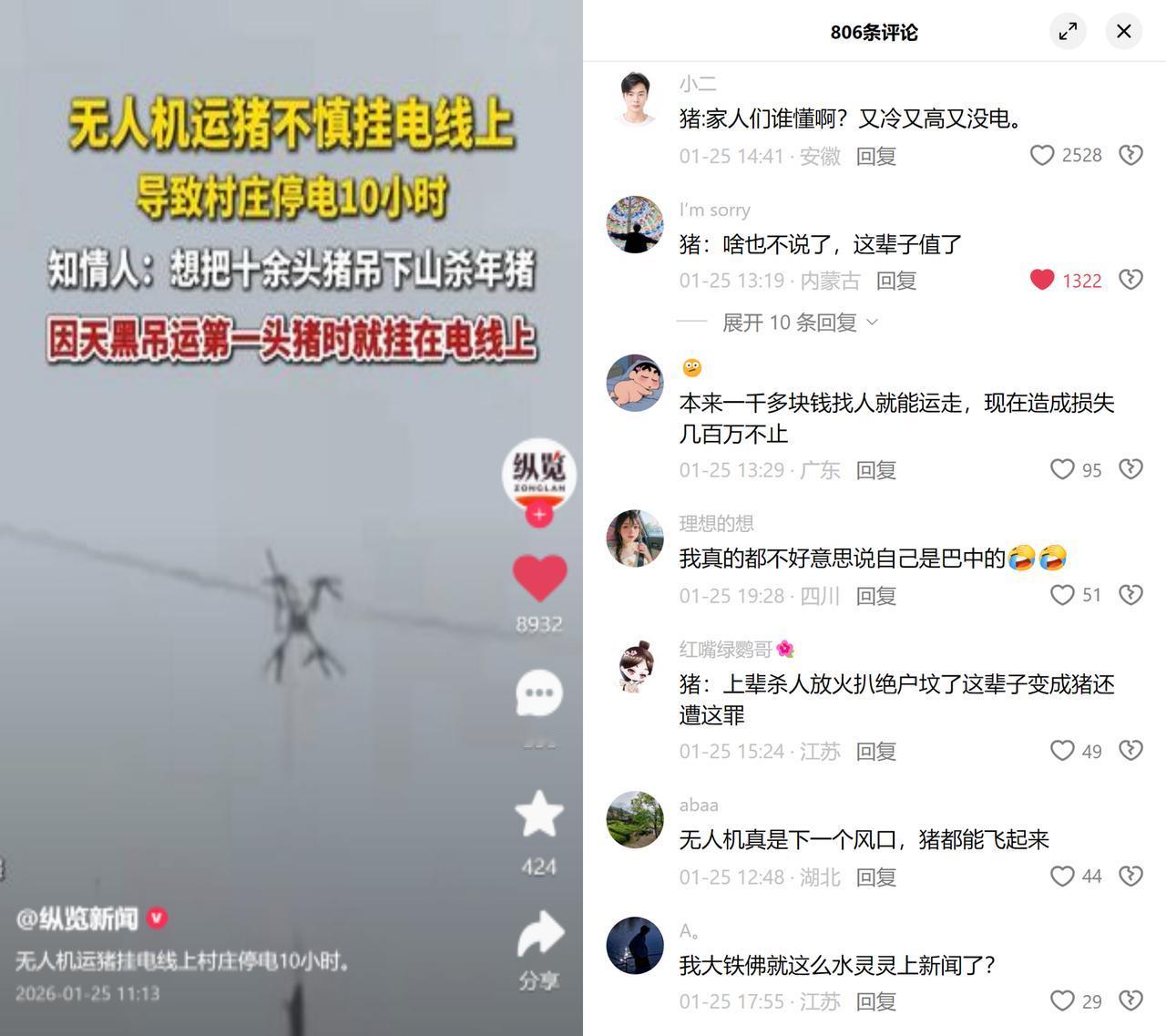 为省一千块运猪钱，把全村电干停10小时！四川有人想省搬运费，夜间用无人机