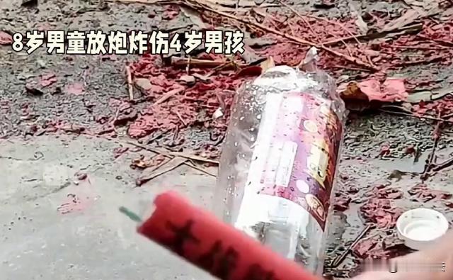 山东枣庄，8岁男童在公共区域放“二踢脚”，把同单元4岁邻居炸成十级伤残。受害者家