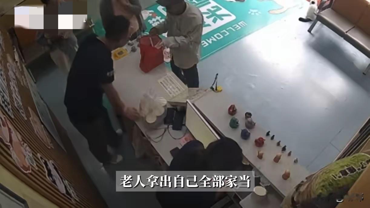泪目了，这天一家宠物医院来了一位老人，他带着一只眼睛发炎的小猫来看病，他说这只猫