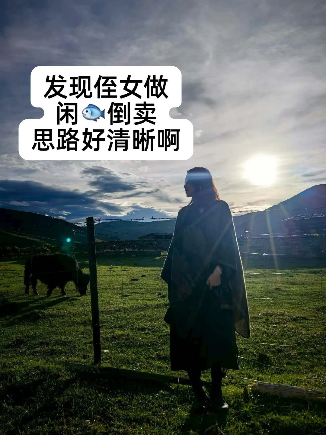 别瞎选品！闲🐟高利 润类目全在这了