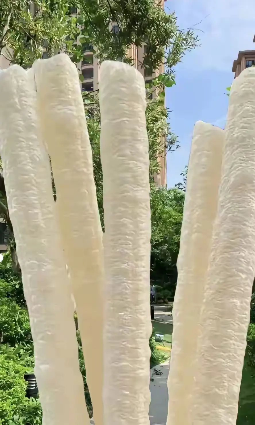 问了很多人，都不知道它的方言叫什么？