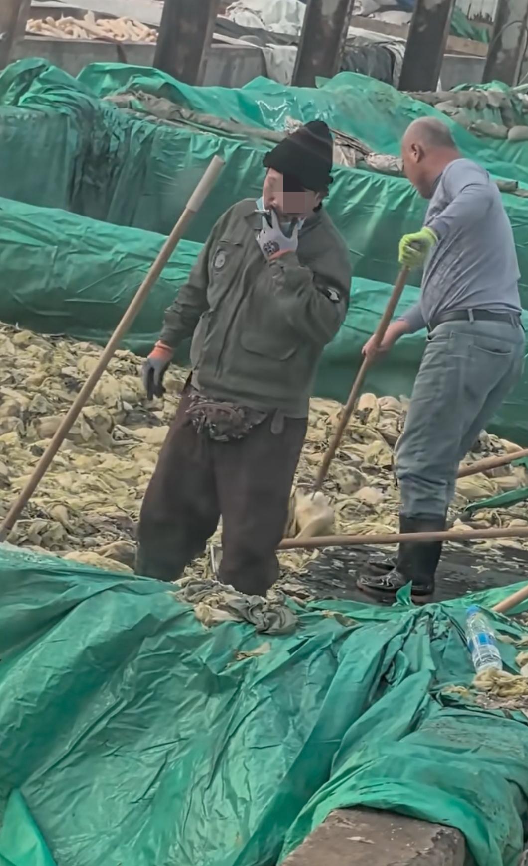 我早就和家人说过，酸菜就吃自己腌制的，或者知根知底的！什么袋装的，散装的，谨慎