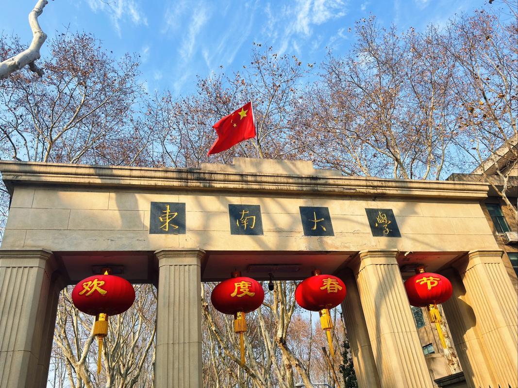 中南大学vs东南大学🔥都是顶级985，到底怎么选？很多高三家长和考生都会纠结
