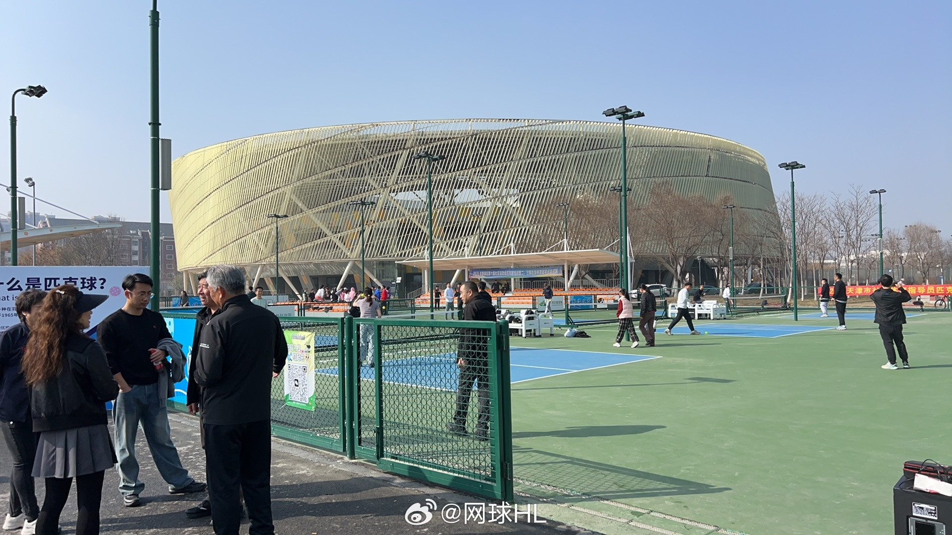 匹克球好上手，天津打匹克球的人越来越多了！