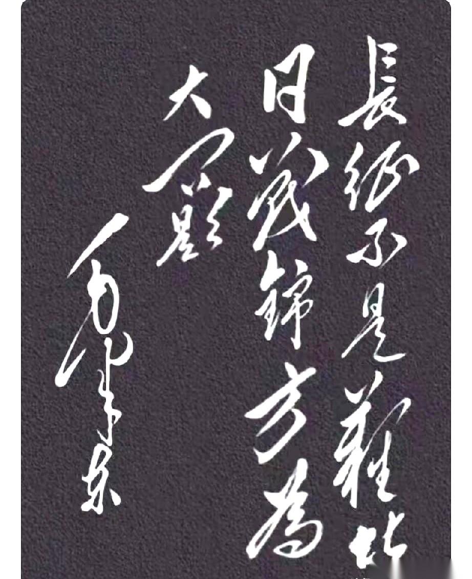 我一个外行，真不太懂书法，但今晚算是被彻底镇住了。真的。盯着这幅字看了好久，