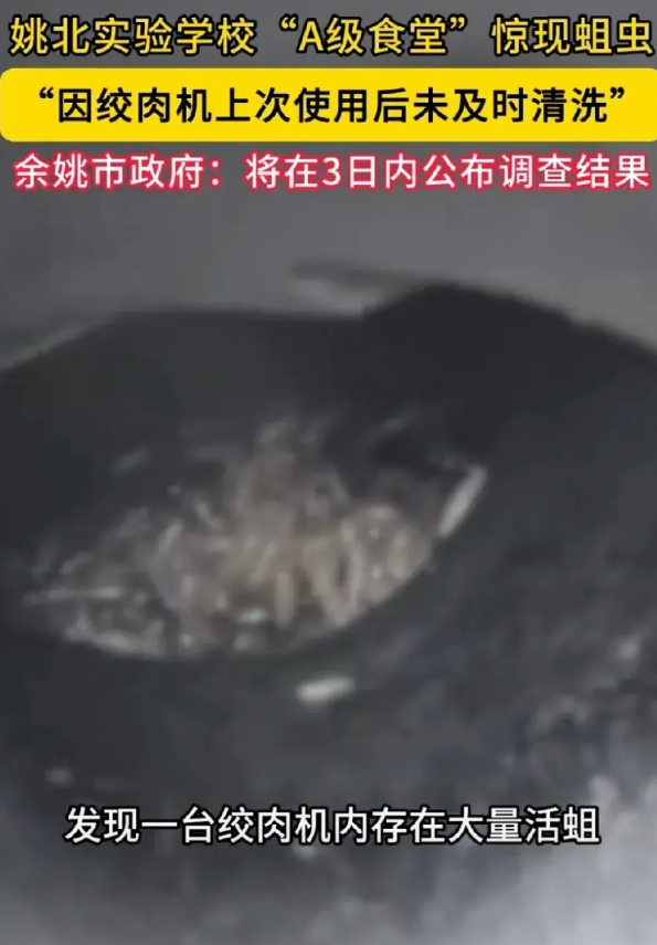 关于浙江余姚一小学食堂绞肉机里发现大量活蛆虫事件，让在学校食堂工作10多年的我，