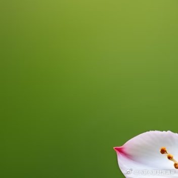 认命，是另一种清醒你有没有发现，人这辈子，很多事真的说了不算？你精心规划的人生路