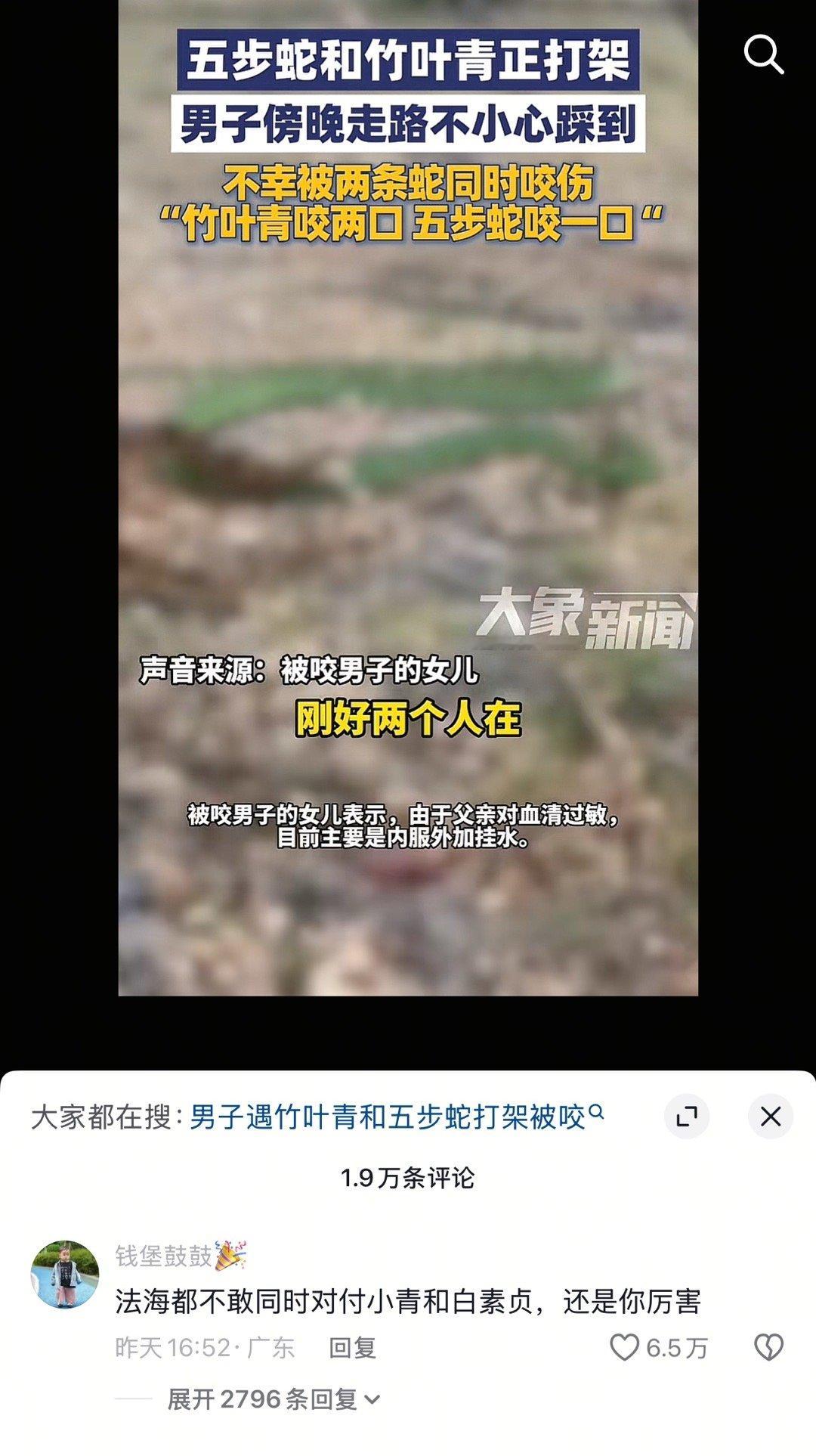 《法海都不敢同时对付小青和白素贞，还是你厉害》[捂脸哭][捂脸哭][捂脸哭][捂脸哭][