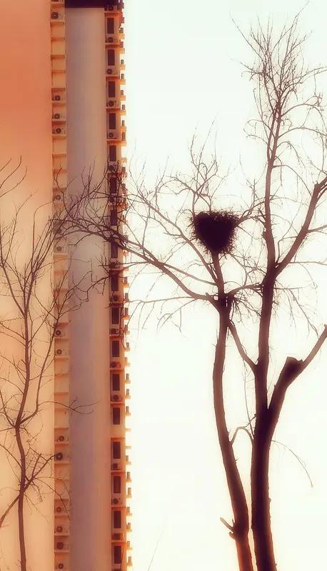 我认同“远亲不如近邻”。我老家在农村，以前我家与隔壁叔叔家因为竹园界桩的事，父