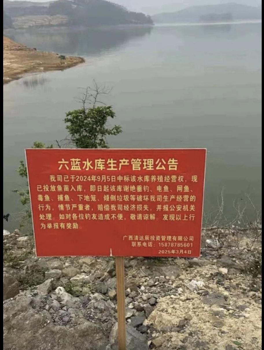 水库决堤现在有养鱼论，水库养鱼不是很正常的事吗？但是在大雨来临的时候，如果基层人