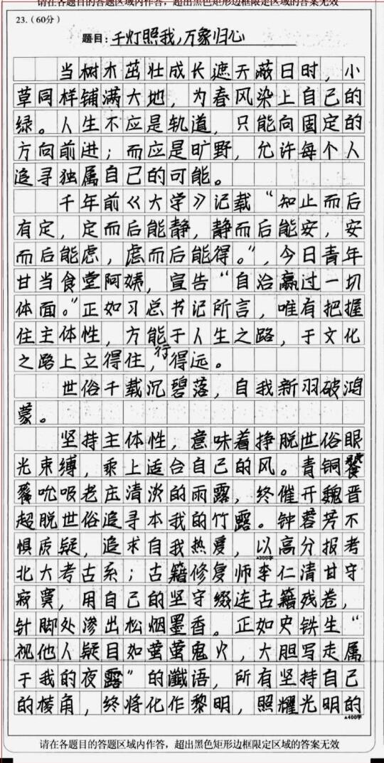 53分的高分作文