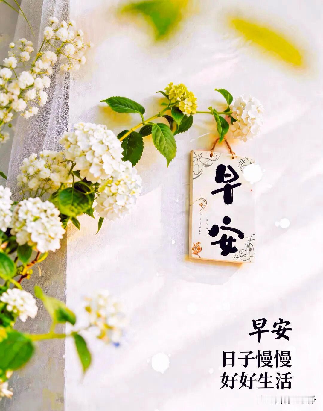 ☀️²⁰²⁶/₀₆.₁₂ᵕ̈ᵕ̈周五愉快｜早安🍃🌸☕️🍒🍊周末的清晨