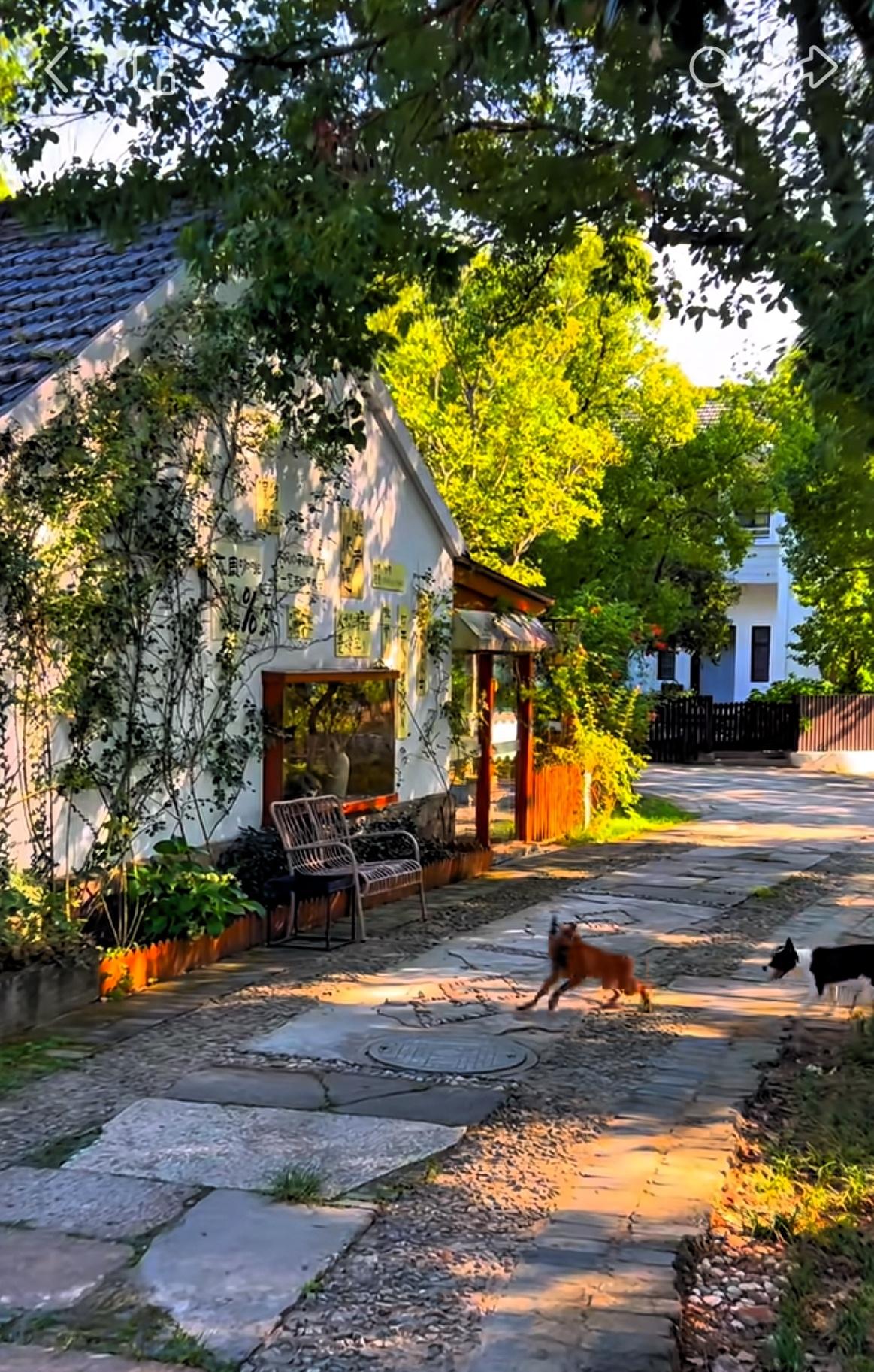 老玄学大师的忠告：“身弱之人，命里财很大，财多身弱，有的早期越穷，晚期越有钱，