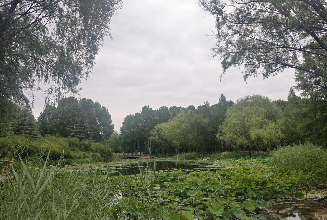 老了要想活的有尊严，还得手里有钱，有钱才是老年人的底气啊。我们楼上有一位大姐，