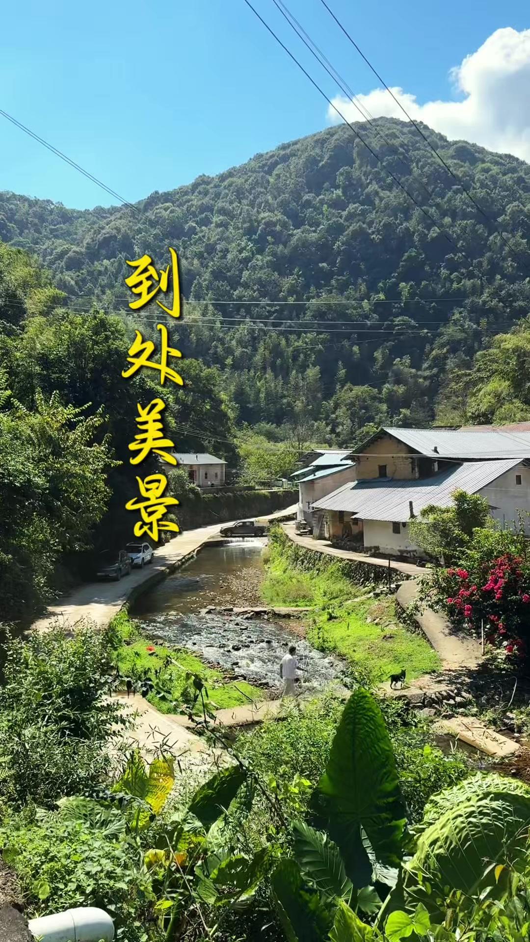 🌿踏入西阳镇银福村的瞬间就被戳中，溪水潺潺绕着村子流，群山环抱里风带着凉意吹过