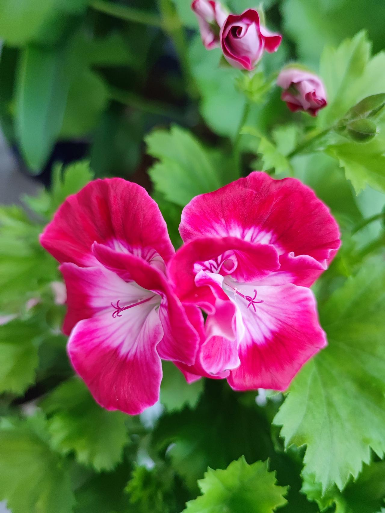 看到了啥叫“少壮不努力老大徒伤悲”[汗]今天我们坐大表哥新买的车去随礼，