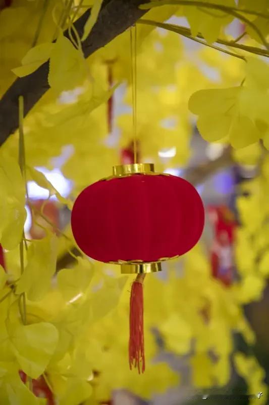 河北涿州街头挂黄灯笼引热议河北涿州街头挂黄灯笼这事可太有热度了。这黄灯笼可不简