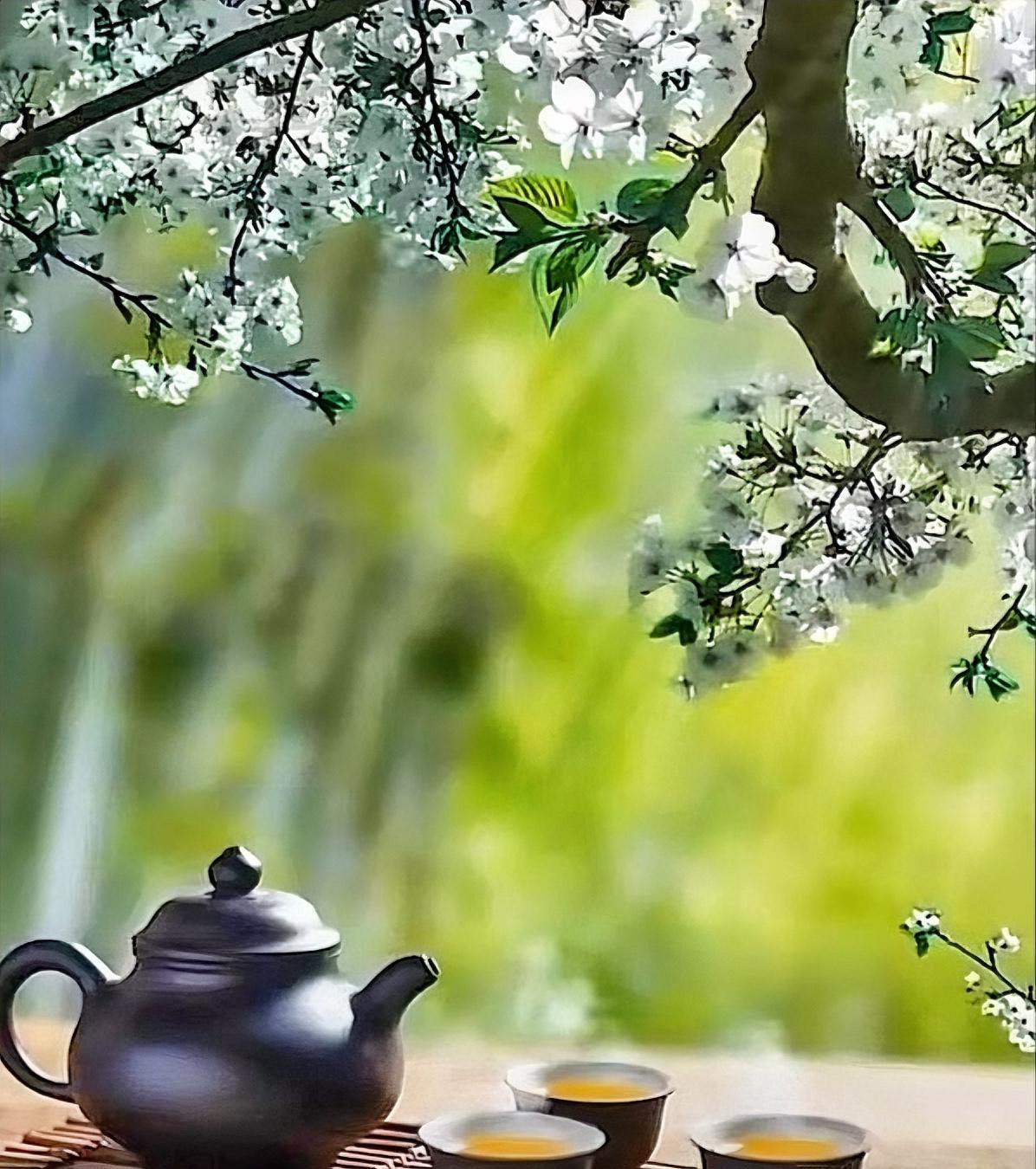 非常值得反省的一句话：“你容易生气，容易情绪内耗，不是因为你的脾气或性格不好，