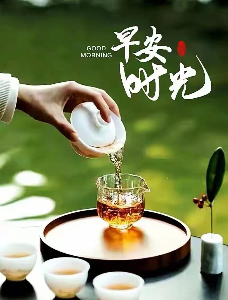 風過戲柳不留聲，雨落潤花亦從容，人生路上時光少，爭取過好每一秒。早安吉祥