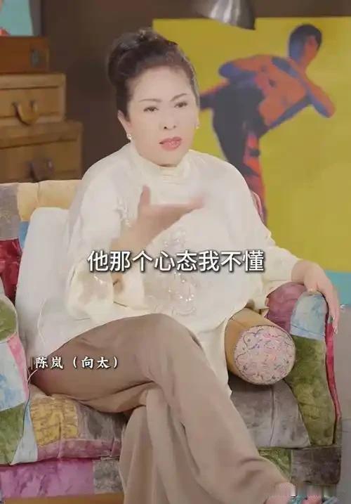 向太一语道破：台湾停滞45年，回归祖国是唯一出路最近，向太陈岚的一席话在朋