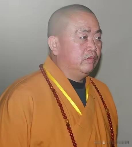 释永信儿子现在估计肠子都悔青了！他后悔的不是少了锦衣玉食，也不是未来要靠自己