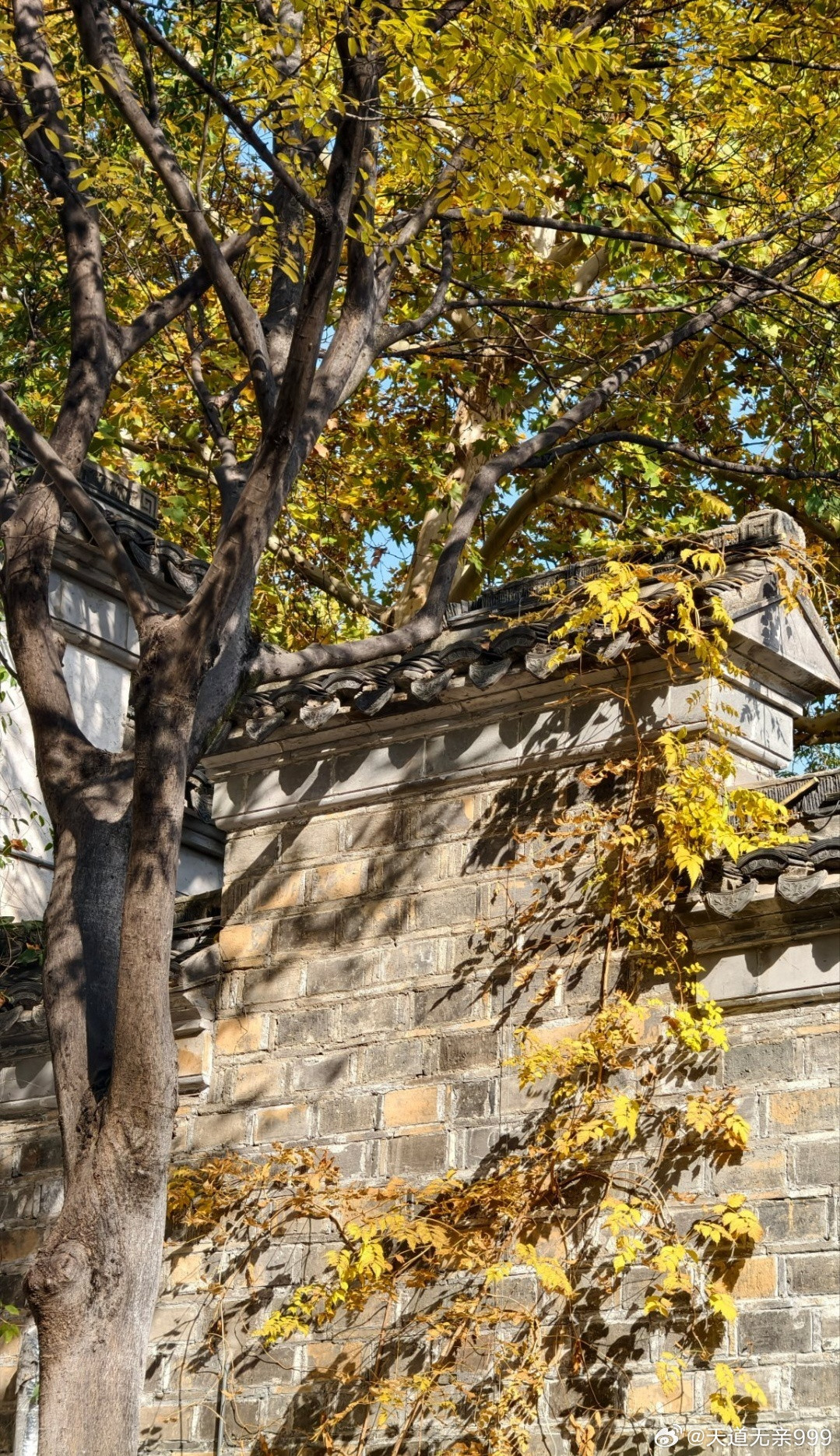 江湖风水口诀：进门左右留厕所，一臭全家。进门迎面见厕所，人财两消退。东户厕所占西