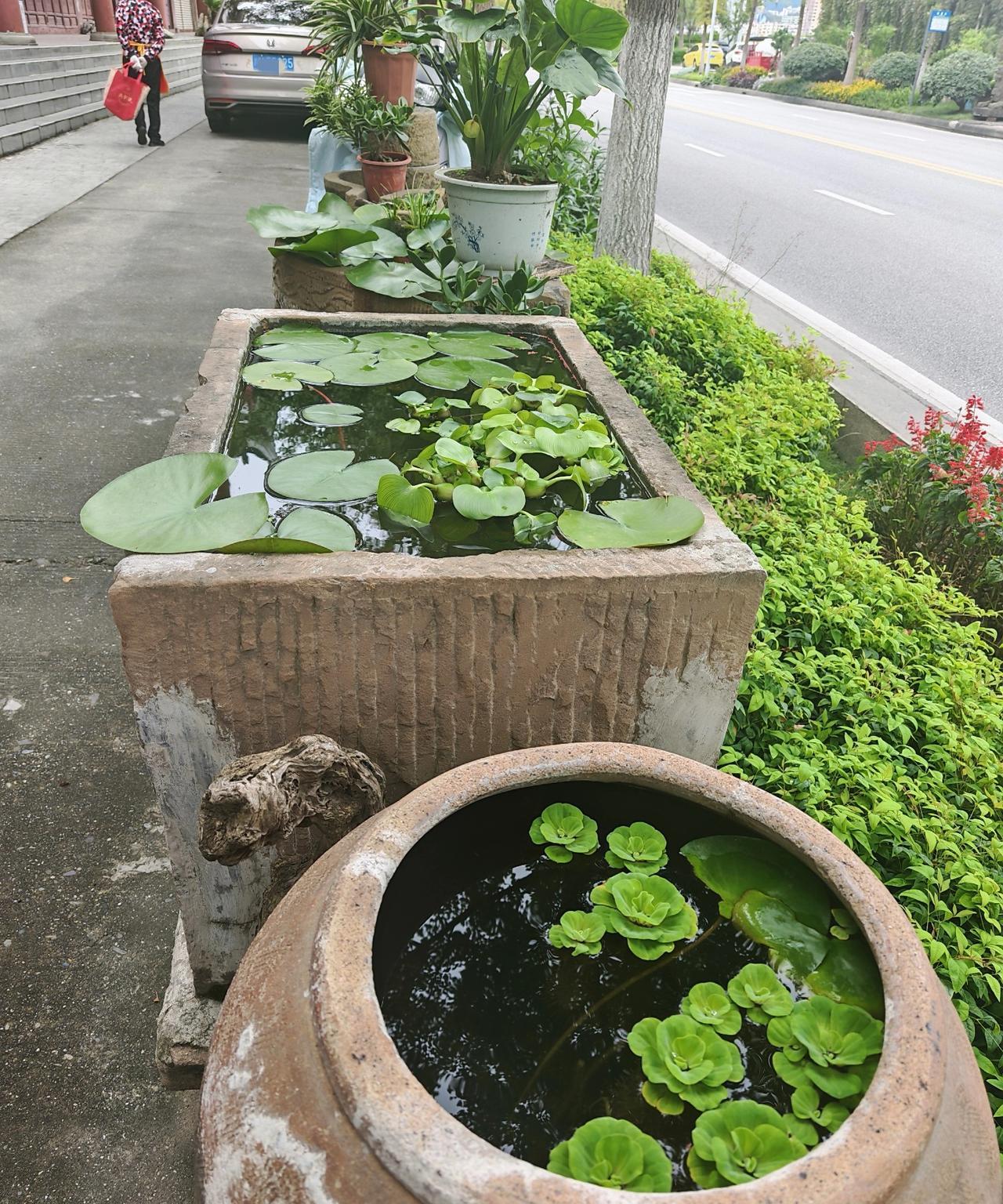 说实话，照顾老人，必须得有足够的心理准备。我爸87，我妈81，平时我在照顾他们