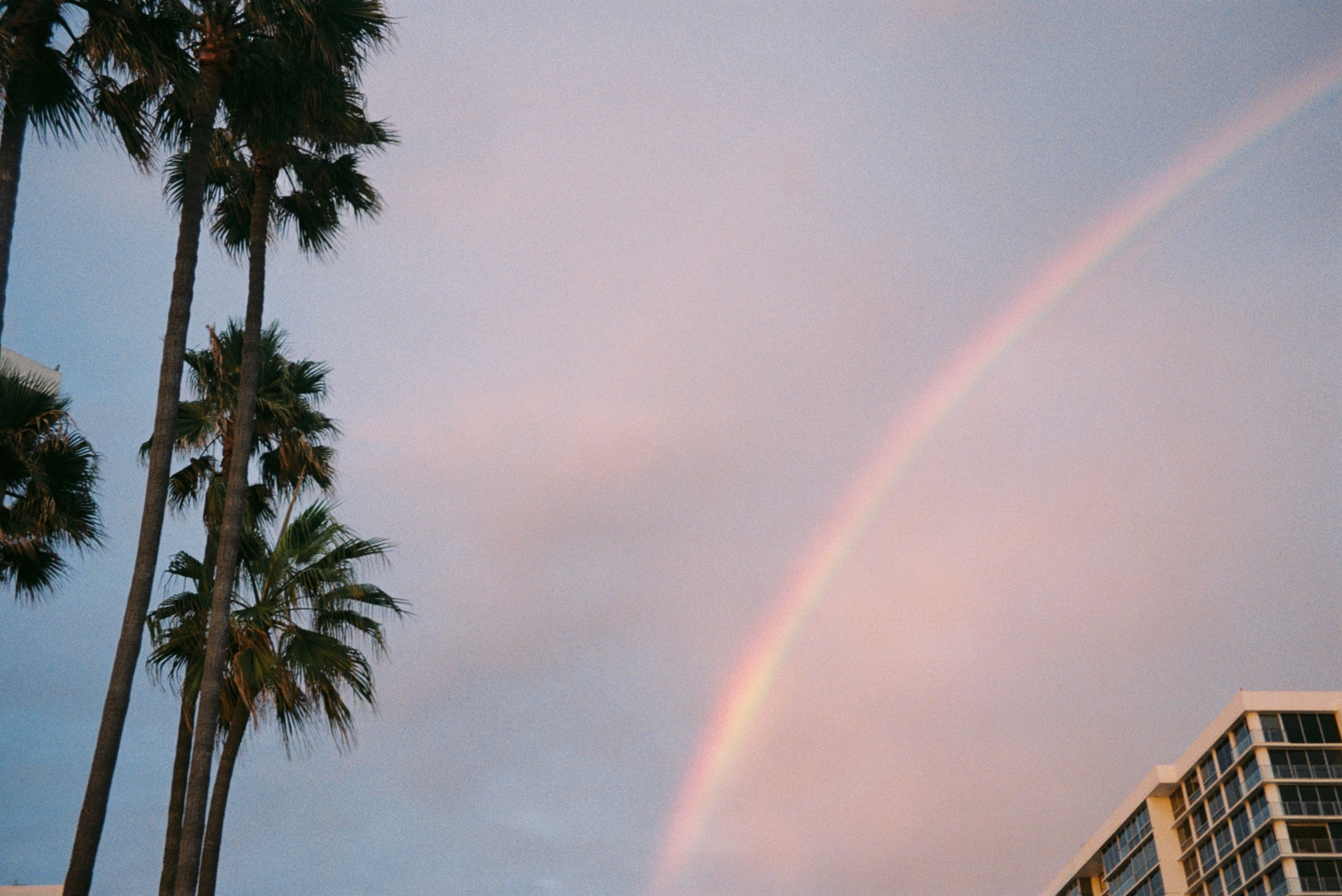 SanDiegopartII​​​