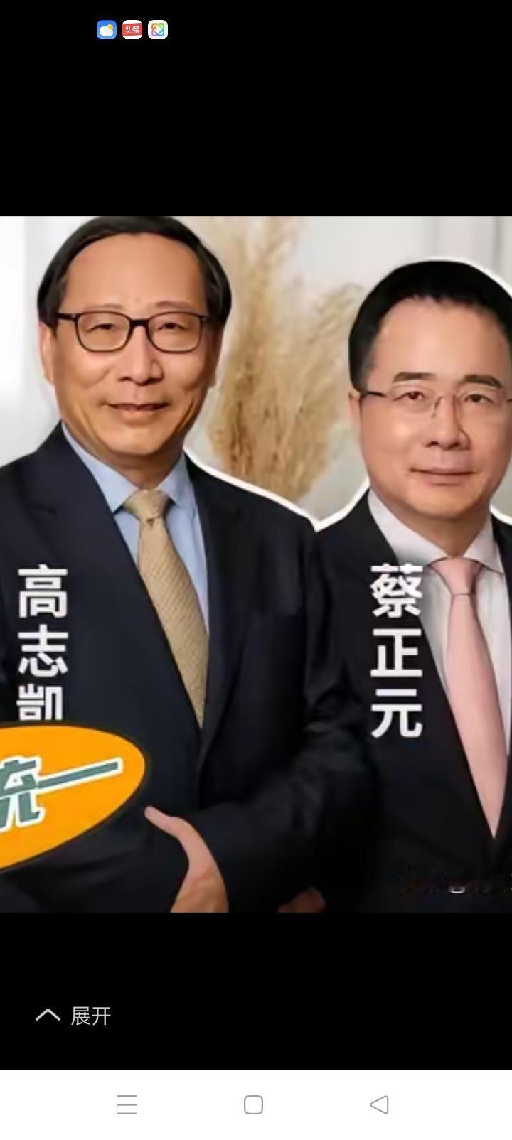 伯牙摔琴谢知音，蔡正元要铺20公尺红地毯欢迎高志凯来家做客。圆桌论坛两位国士氤