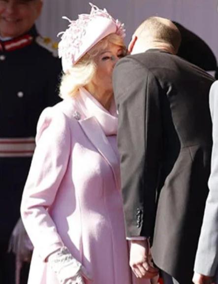 认贼做母，威廉王子亲了卡米拉王后，这不是寻常的贴面礼而是在示好。这些年，威廉王