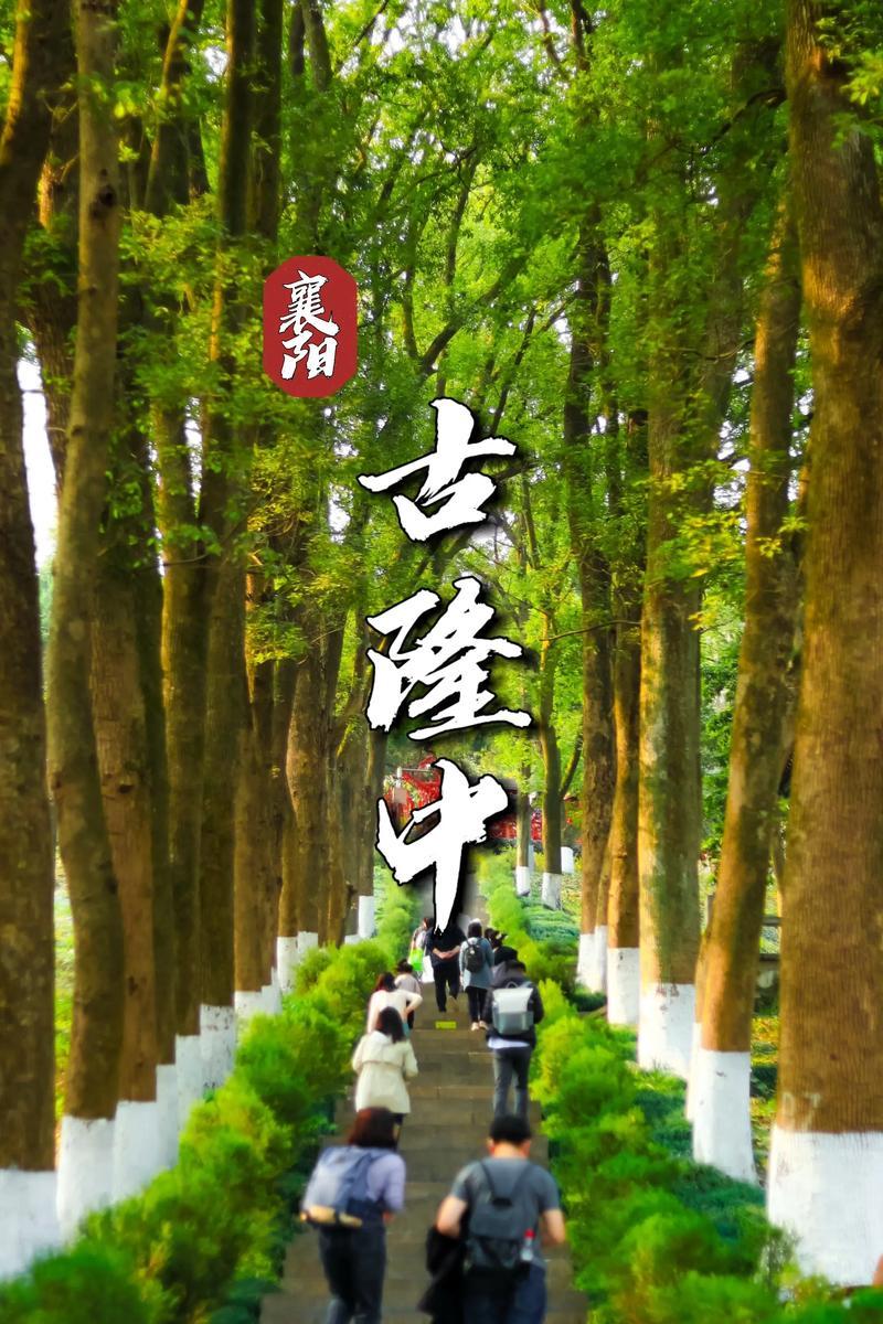 在围绕历史话题的争论中，总有一种耐人寻味的现象：真正手握实据的一方，往往不屑于高