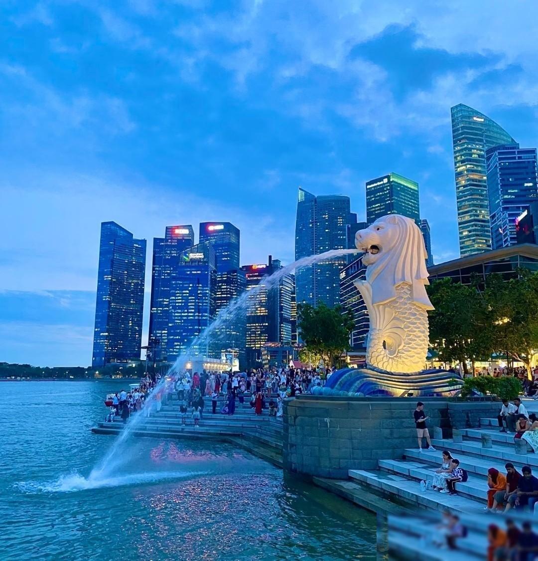 新加坡为啥越来越喜欢印度人和印度文化？说几个相关事件。先看一组数据对比：当地华