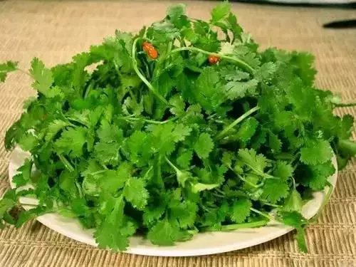医生提醒: 香菜这3种人千万要少吃, 最好别吃! 快告诉家人!