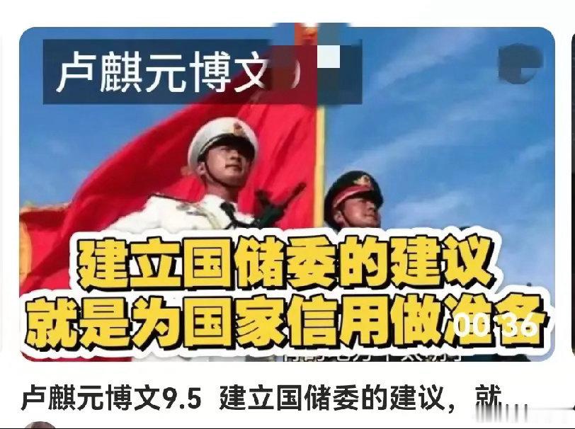 经济学家卢麒元曾多次公开发文并呼吁，建议国家尽快组建“国家战略资源储备委员会”（