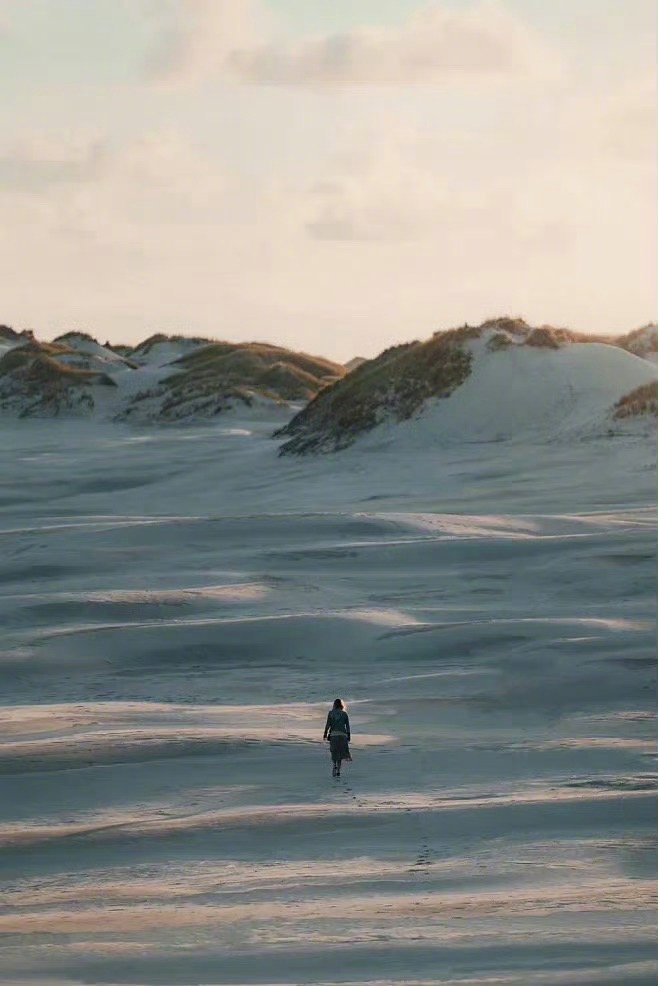 生命最稀缺、最有价值的东西，是感受力。感受力里面，包含着人的注意力、专注力、创造