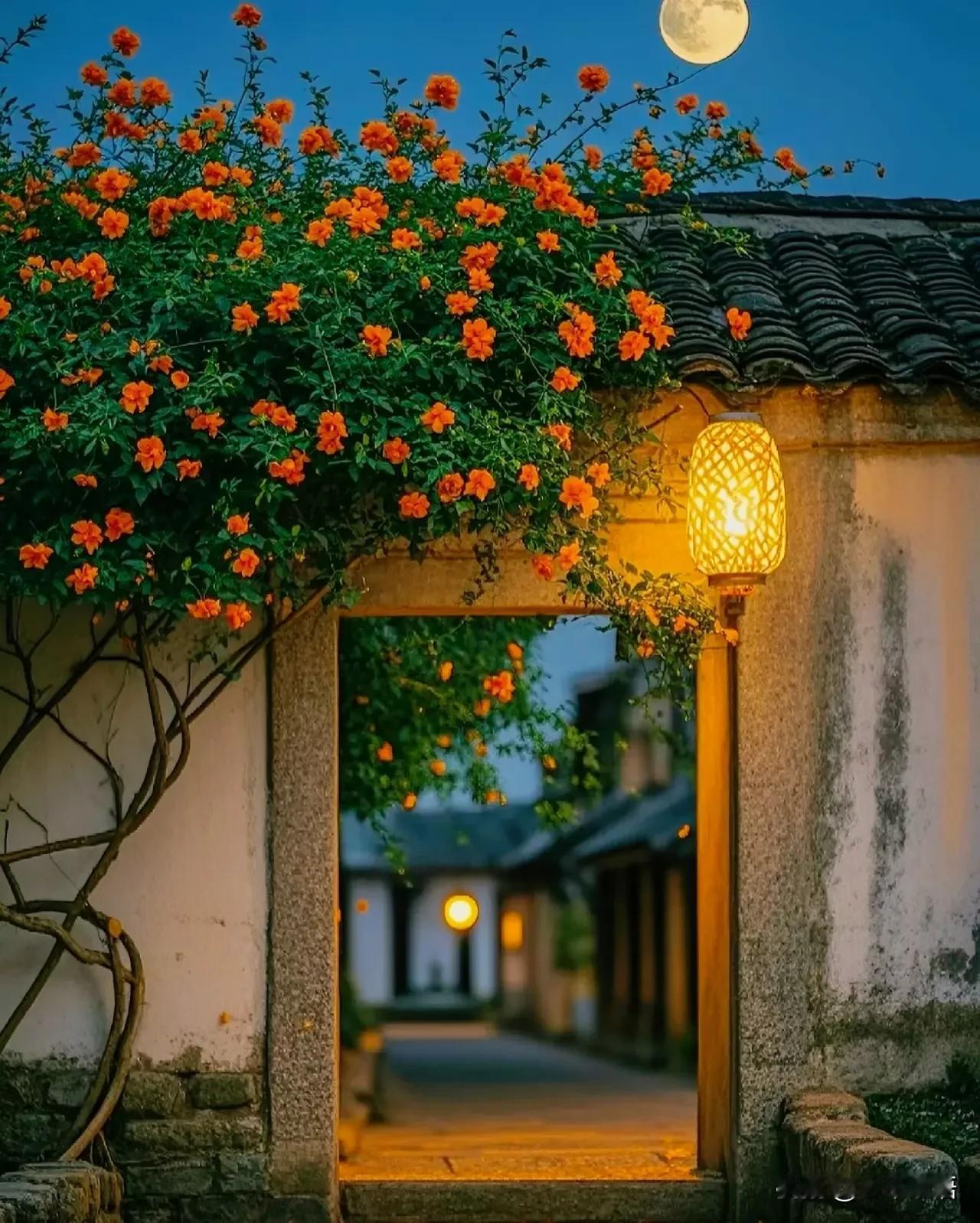 一位百岁老人说：“千万别住大房子，很多人的气运就是被大房子偷走的。有的人赚了点钱