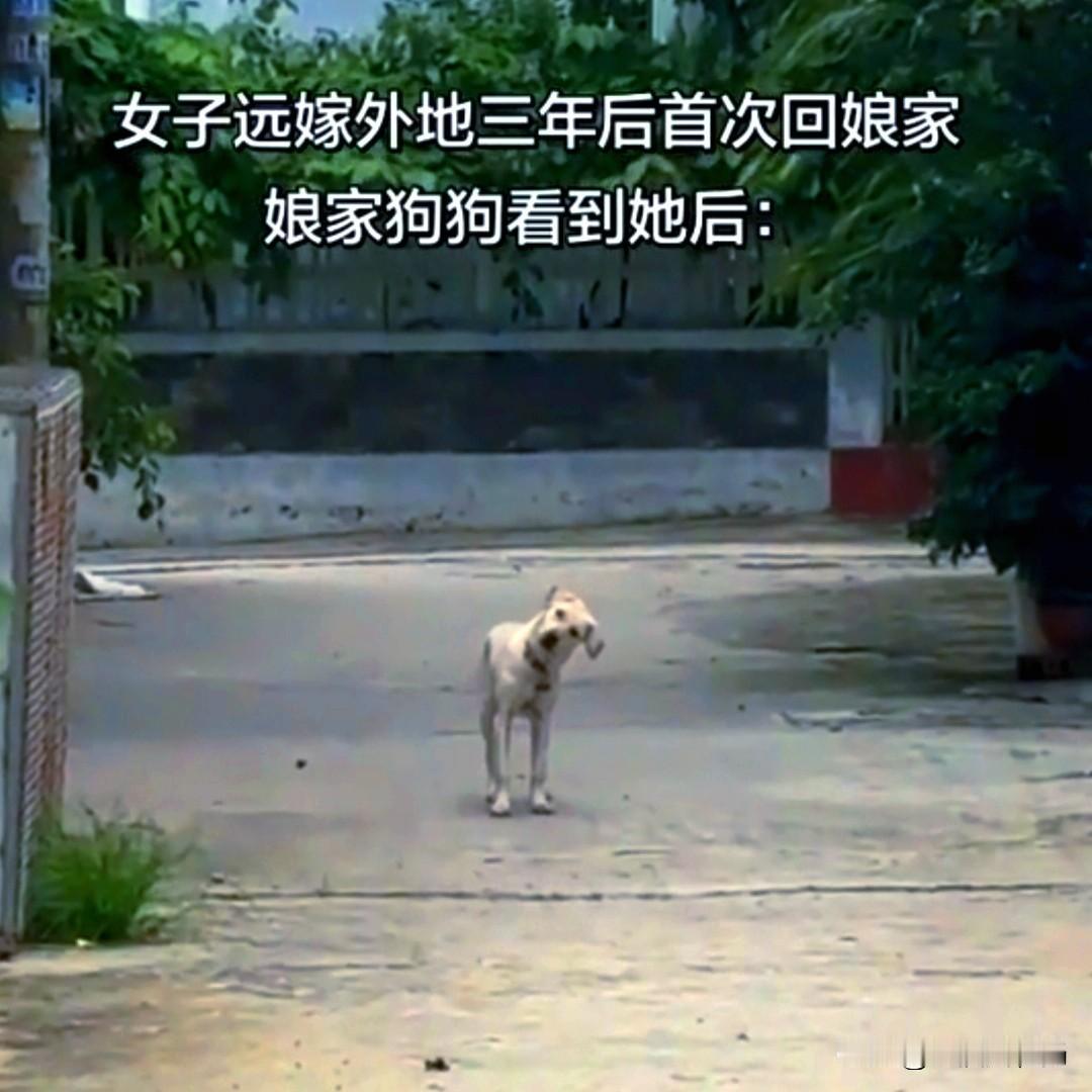 女子远嫁千里之外，由于生活和工作的原因，三年都没有回过娘家。当她再次站在娘家门口