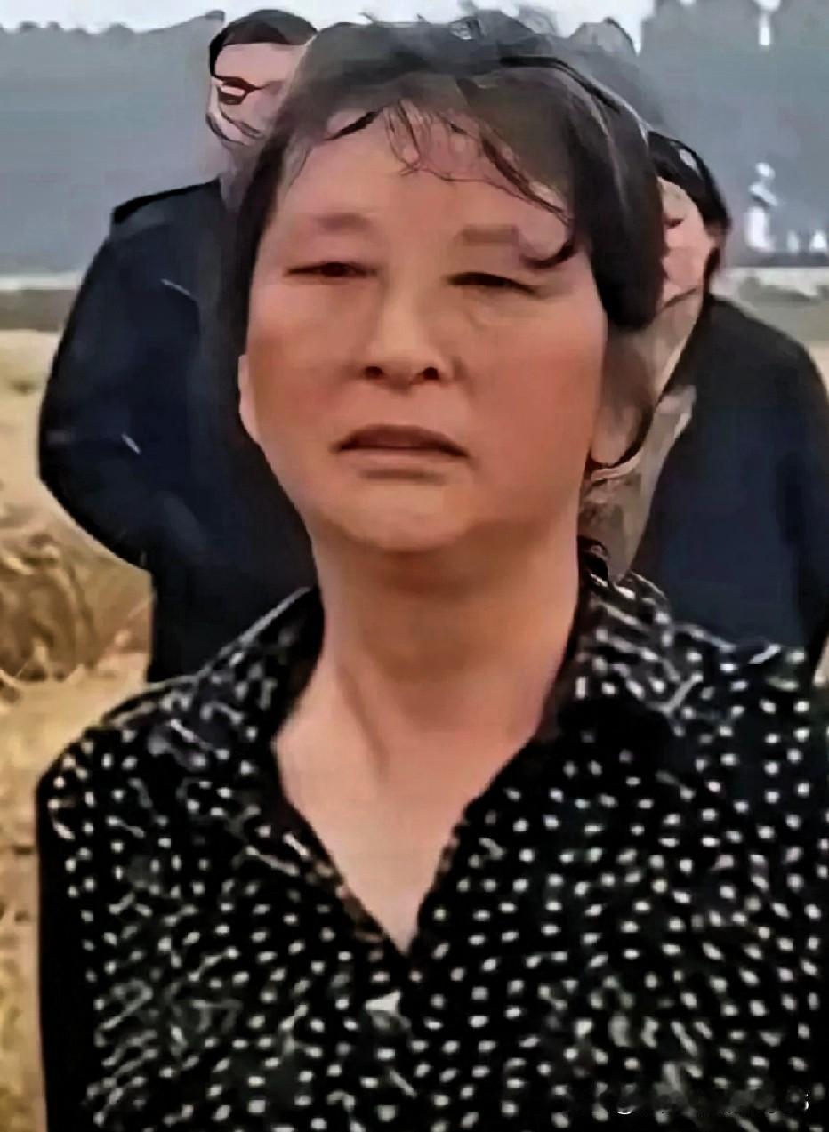 这事儿真是让人看笑了，谁能想到，那位在高速上拦收割机的大妈，竟成了襄阳意想不到的
