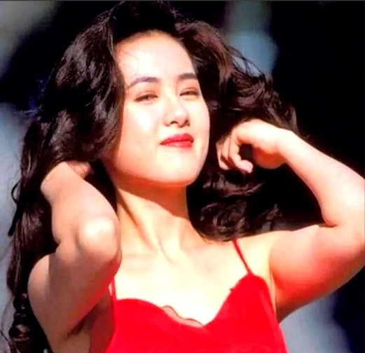 1996年，赚的盆满钵满马上就要结婚的李丽珍，不料，却因为抵抗不住高达400万片