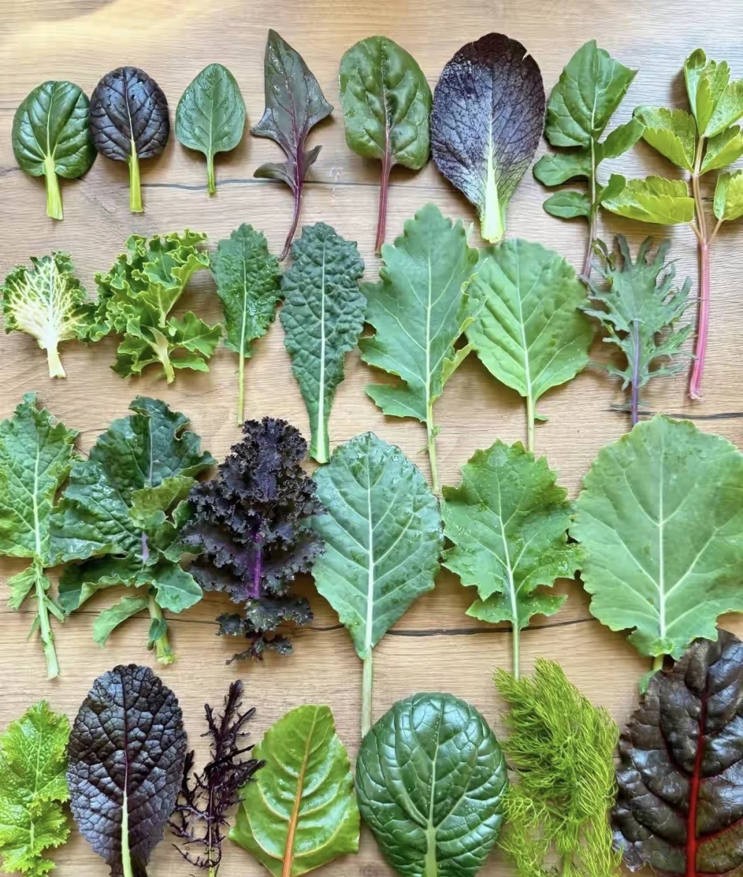 人际关系中最重要的两个能力：提出需求和拒绝别人。 这两个的本质都是直接...