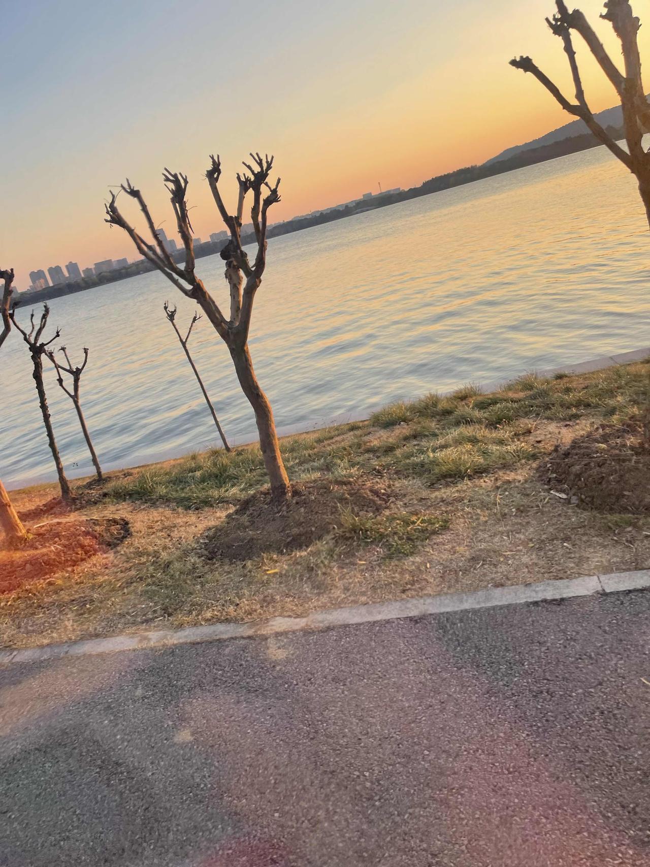 每日分享一句人生感悟